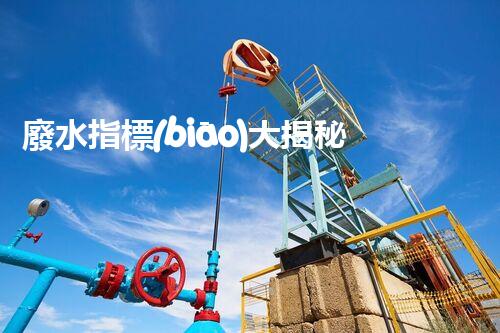 廢水指標(biāo)大揭秘！渾濁混亂，還是清澈透明？